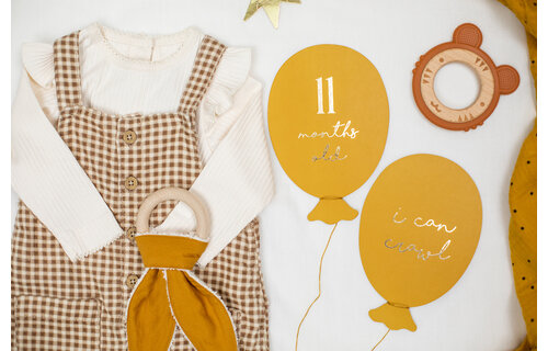 Mijlpaalkaarten Baby Eerste Jaar (Ballonnen) - per set - Milestones