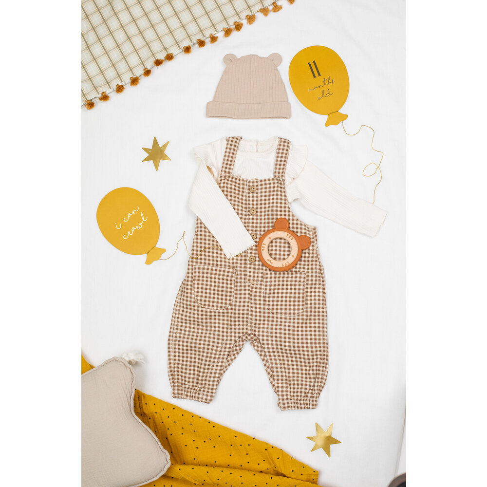 Mijlpaalkaarten Baby Eerste Jaar (Ballonnen) - per set - Milestones