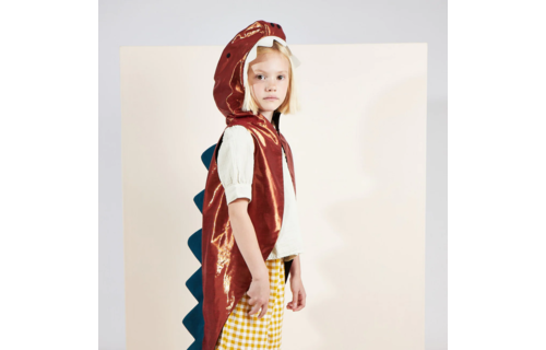 Dino Kostuum - per stuk - Verkleedkleding voor kids