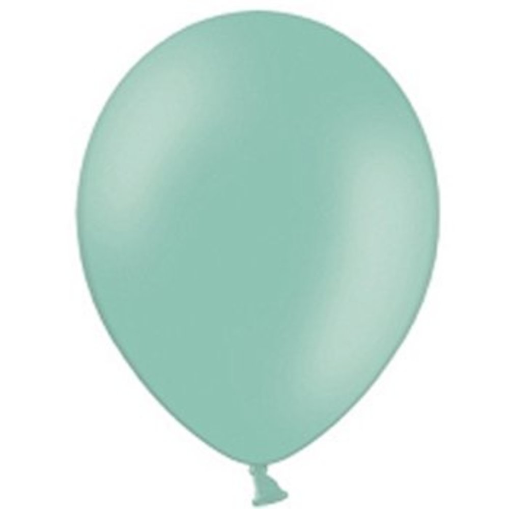 Ballon Mint - 10 stuks - 30 cm