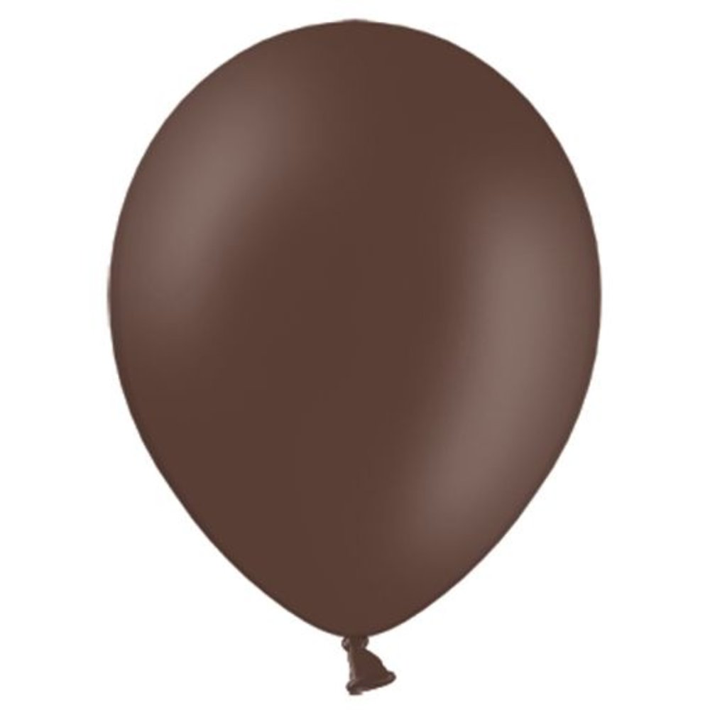 Ballon Cacao Bruin - 10 stuks - 30 cm