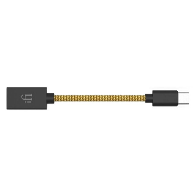 iFi audio OTG USB-C