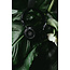 Grado Labs SR60x casque ouvert Prestige X