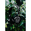 Grado Labs SR225x open hoofdtelefoon