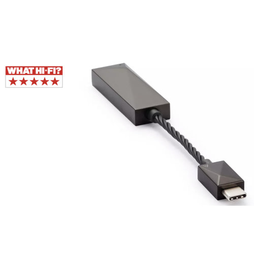 Astell & Kern USB-C Dual DAC Cable Astell & Kern USB-C Dual DAC Cable