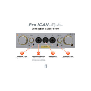 iFi audio Pro iCAN Signature