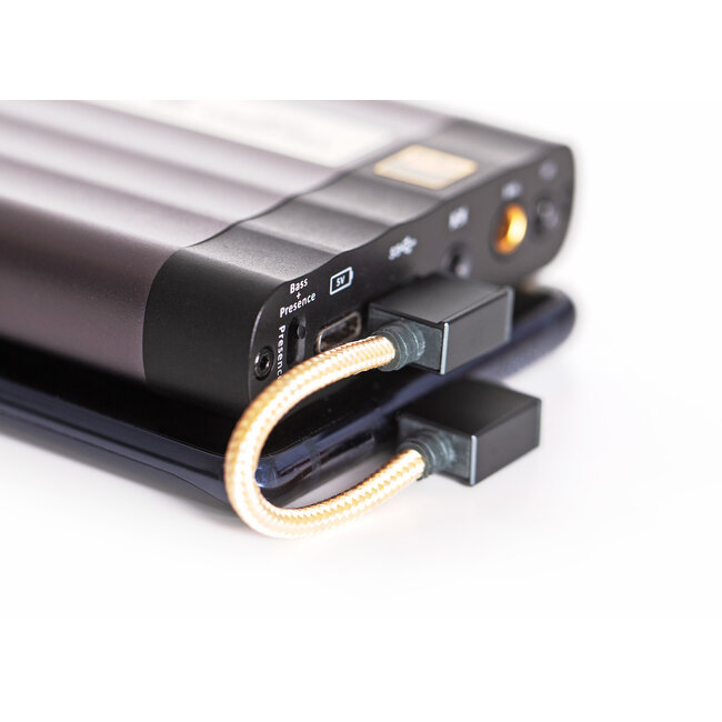 iFi Audio câble OTG Type-C 90° pour DAC USB-C