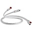 QED Signature Audio 40 câble RCA hi-fi