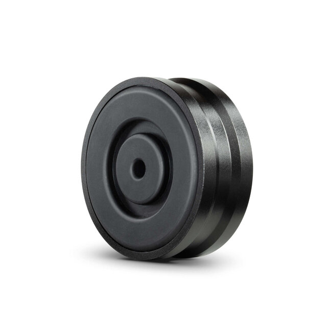 Super Heavyweight Champion