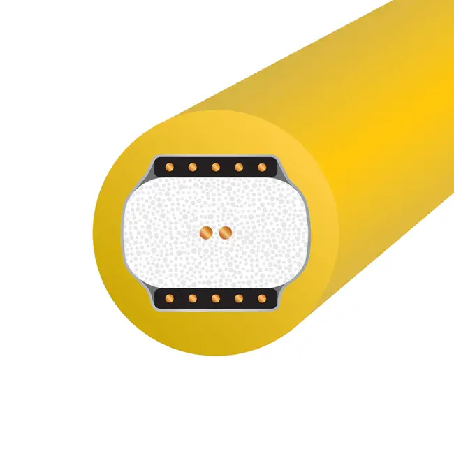 Chroma™ 10 Coaxial Digital Audio Cable RCA→ RCA