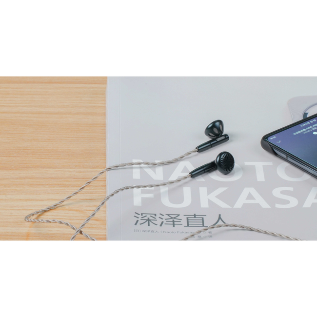 FiiO FF5 Open Oordopjes – Carbon Driver & Premium Kabel