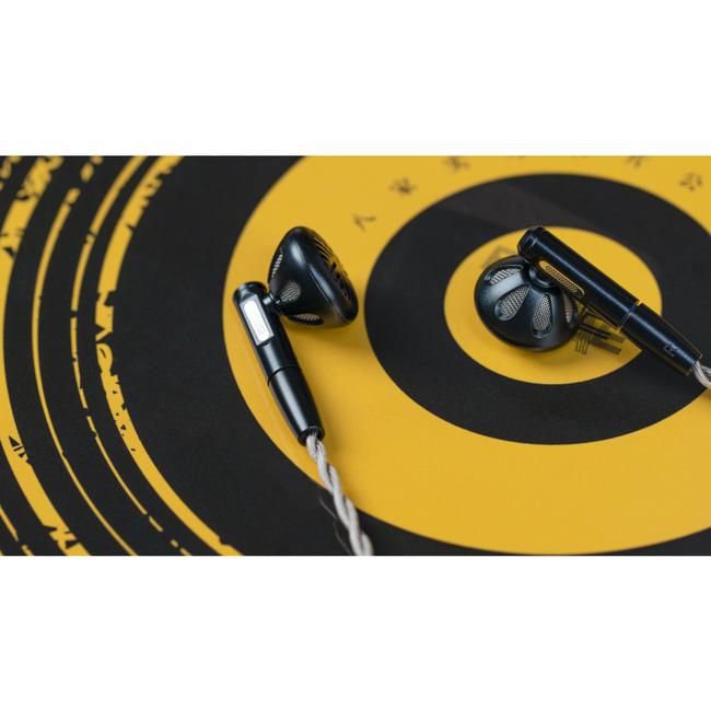 FiiO FF5 Offene Ohrhörer – Carbon-Treiber & High-End Kabel
