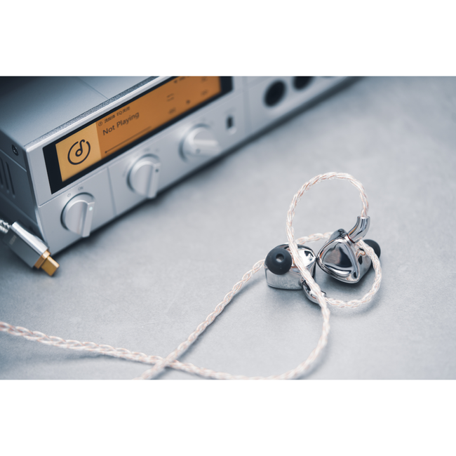 FIIO FX17 Hybride In-Ear-Kopfhörer – High-End Klang