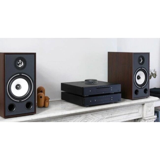 WiiM Mini Audio Streamer – Draadloze Hifi-streamer met Bluetooth 5.2 en multiroom