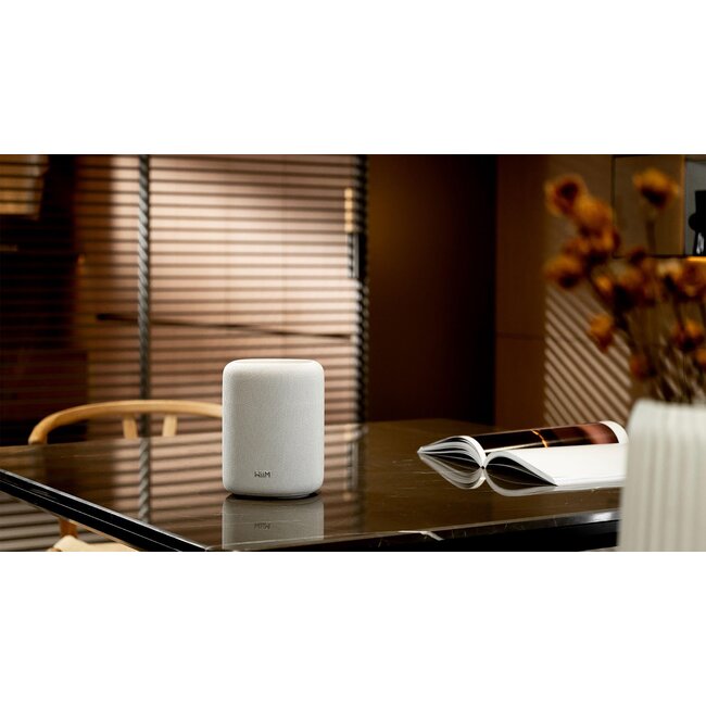 WiiM Sound Lite draadloze speaker met smart streaming en stereo
