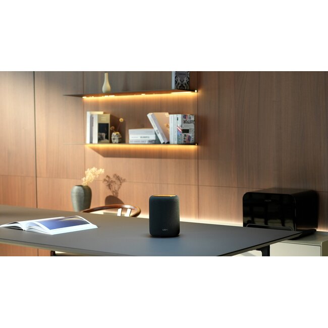 WiiM Sound Lite wireless speaker – single or Twin Pack