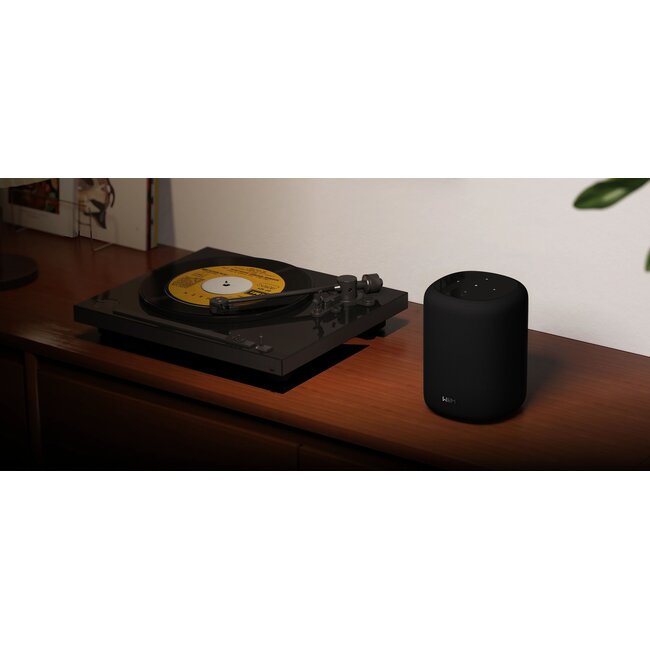 WiiM Sound Lite WLAN-Lautsprecher mit smartem Streaming