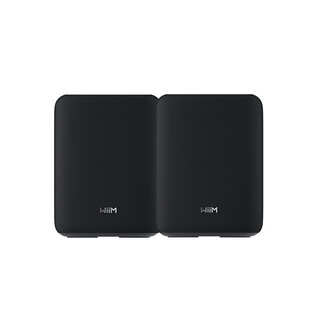 WiiM WiiM Sound Lite WLAN-Lautsprecher mit smartem Streaming