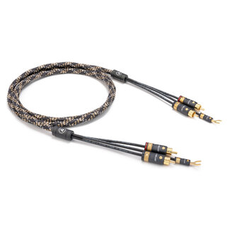 ViaBlue EPC-2 T8 RCA