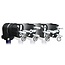 Furutech FI-E12L (Rhodium) Schuko-Stecker – High-End Winkelstecker