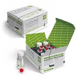 Holiday Haargroeiremmer