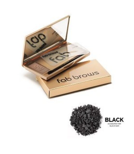 fab brows kit black