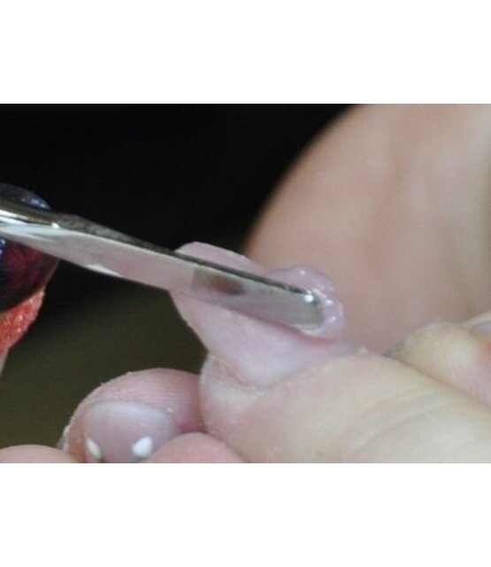 Spheric | AcrylGel | Polygel| Cover Beige | 60 gr.