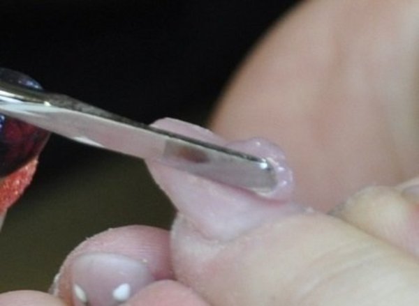 La Femme Spheric | AcrylGel | Polygel| Cover Beige | 60 gr. La Femme Spheric | AcrylGel | Polygel| Cover Beige | 60 gr.