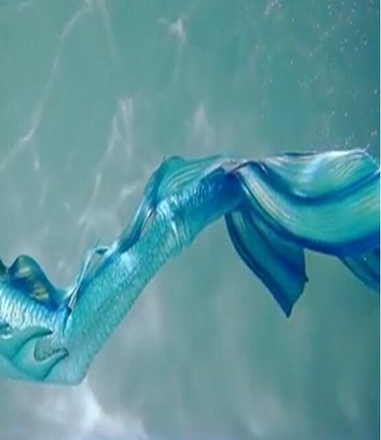 Excellent Mermaid Wax 400 ml / 800 ml | Hypoallergeen