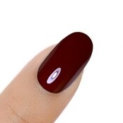 Gel Polish Sacher Cake /  H188