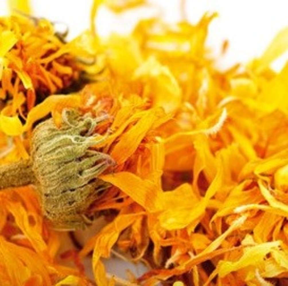 Holiday After Sugaring Cream | Body Sugaring | Flacon 500 ML Holiday After Sugaring Cream | Body Sugaring | Flacon 500 ML