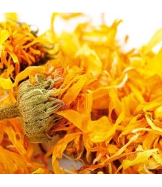 After Sugaring Cream 500 ml – Body Sugaring