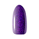 CLARESA CLARESA Gel Polish Galaxy Purple 5g CLARESA CLARESA Gel Polish Galaxy Purple 5g