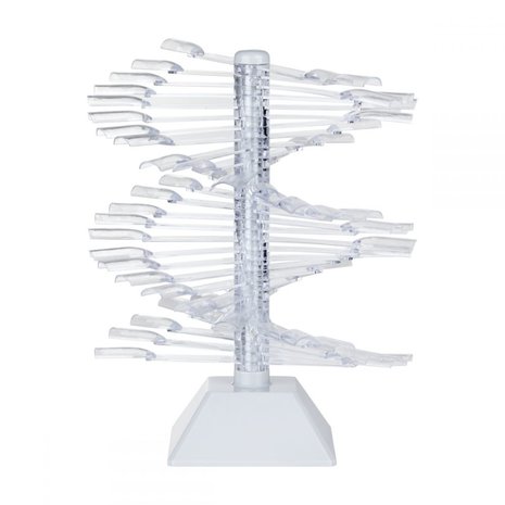 B. B. Cosmetics Kleurenwaaierpalet | Nailstyling | Showpalet voor 30 kleuren