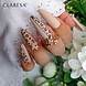 CLARESA CLARESA Hybride nagellak PERFECT NUDE 8 -5g CLARESA CLARESA Hybride nagellak PERFECT NUDE 8 -5g