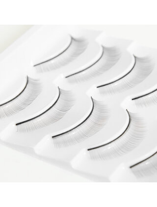 STRIP LASHESVOOR WIMPEREXTENSIONS TRAINING