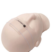 Wimperhouder Met Elastiekwimperextensions Lash Holder