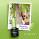 CLARESA Claresa UV/LED Gellak SUMMER STORIES 3-5G CLARESA Claresa UV/LED Gellak SUMMER STORIES 3-5G