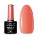 CLARESA Claresa UV/LED Gellak SUMMER STORIES 5-5G CLARESA Claresa UV/LED Gellak SUMMER STORIES 5-5G