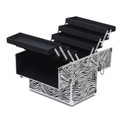Cosmetic zebra case