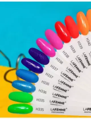 Collection : Surf The Life