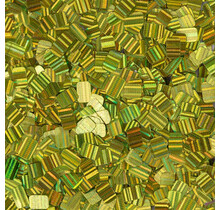 Hologram secret nageldecoratie