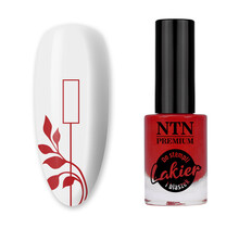 NTN Premium stempellak zilver 7ml nr. 93