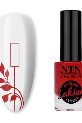 PREMIUM STEMPELLAK ZILVER 7ML NR. 93