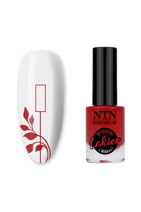 NTN Premium stempellak zilver 7ml nr. 93