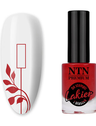 PREMIUM STEMPELLAK ZILVER 7ML NR. 93