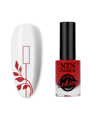 NTN Premium stempellak zilver 7ml nr. 93