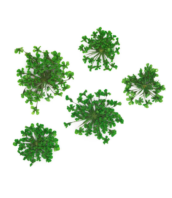 Nageldecoratie Droogbloemen  Groen 5 Stuks