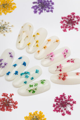 Nageldecoratie Droogbloemen  Groen 5 Stuks