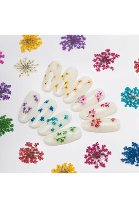 Nageldecoratie droogbloemen MollyLac Groen 5 stuks